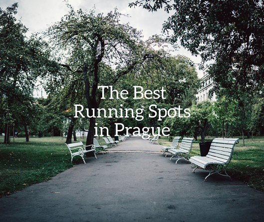 The_Best_Running_Spots_in_Prague.png
